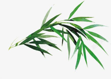 绿色文艺水墨竹子png免抠素材_新图网 https://ixintu.com 文艺 水墨 竹子 绿色