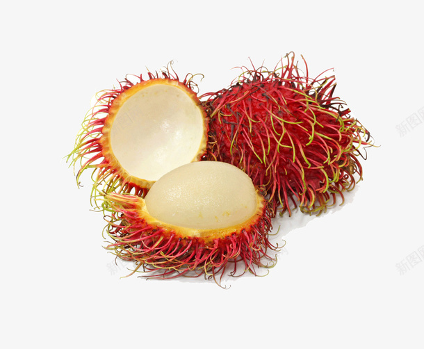红毛丹水果png免抠素材_新图网 https://ixintu.com 果实 水果 红毛丹 蔬菜 食物