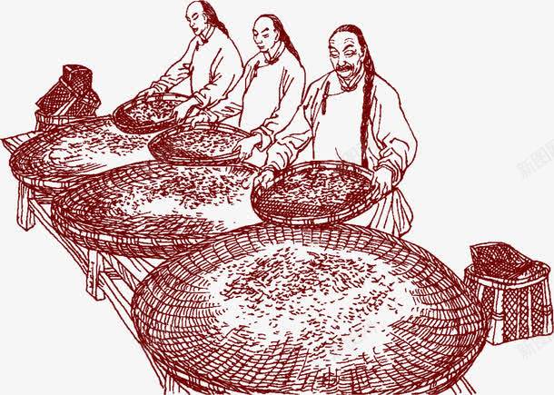 手绘制茶工艺png免抠素材_新图网 https://ixintu.com 传承 传承与创新 传承与创新的海报 制茶 古典 工艺 手绘
