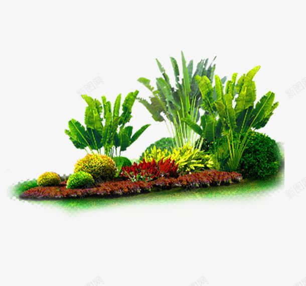 花卉专辑png免抠素材_新图网 https://ixintu.com 建筑 建筑素材 景观 环境 绿化 装饰 装饰素材 风景树