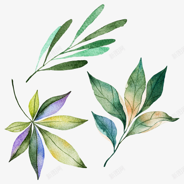 春天手绘水彩绿叶装饰png免抠素材_新图网 https://ixintu.com 叶子 手绘 春天 植物 水彩 绿叶 绿意 装饰