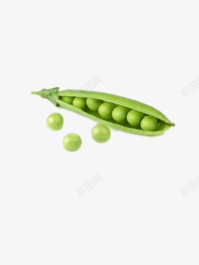 青豆png免抠素材_新图网 https://ixintu.com 健康食物 绿色食物 蔬菜 豌豆 豌豆荚