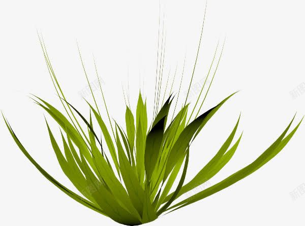 卡通植物模板png免抠素材_新图网 https://ixintu.com 免扣 植物 模板 素材 高清