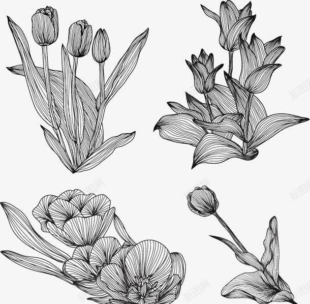 线条花草树木植物绘画png免抠素材_新图网 https://ixintu.com 农场 山 庄园 房屋 手绘 手绘农场田园风景矢量图下载 树木 灌木 玫瑰庄园 田地 线条 花草树木 蝴蝶 风景