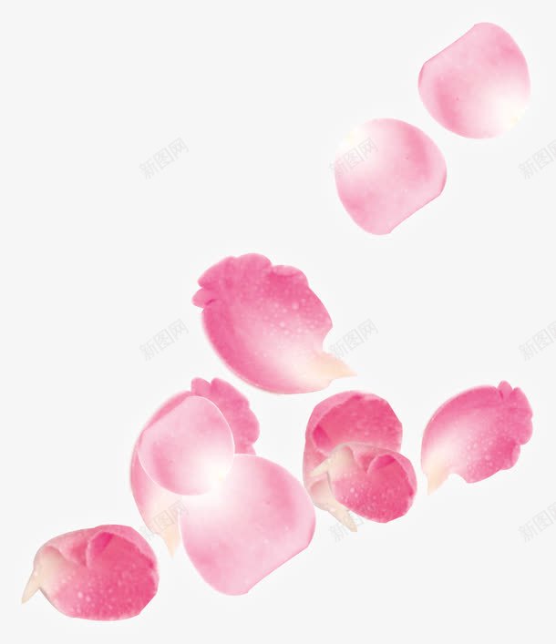 粉色飘落玫瑰花瓣婚礼png免抠素材_新图网 https://ixintu.com 婚礼 玫瑰 粉色 花瓣 飘落