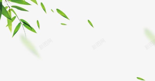 绿色清爽手绘树叶美景春天png免抠素材_新图网 https://ixintu.com 春天 树叶 清爽 绿色 美景