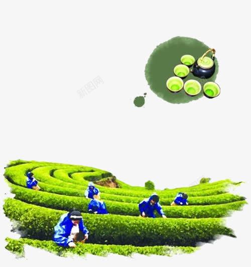 采茶文化png免抠素材_新图网 https://ixintu.com 中国风 泼墨 绿色 绿茶田 茶叶 茶叶制作 茶文化 茶杯 茶田 采茶 采茶插画