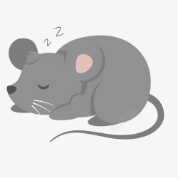 灰色动物小老鼠睡觉灰色动物小老鼠睡觉高清图片