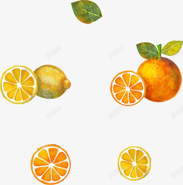 制作蜂蜜柠檬柚子茶的水果png免抠素材_新图网 https://ixintu.com 卡通 手绘 柚子 柚子卡通 柠檬 水果 西柚 食品
