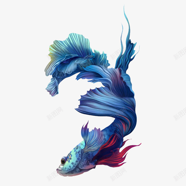 蓝色水彩海鱼简图png免抠素材_新图网 https://ixintu.com 大海 尾巴 水彩 海鱼 简图 美丽的 鱼尾 鱼鳍