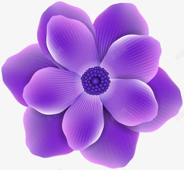 紫色渐变花朵png免抠素材_新图网 https://ixintu.com 手绘玫瑰 渐变花瓣 盛开鲜花 紫色花朵