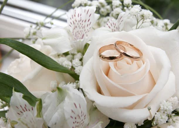 玫瑰花上的结婚戒指jpg设计背景_新图网 https://ixintu.com 其它类别 图片素材 婚礼素材 婚礼背景 摄影图片 温馨 玫瑰花 玫瑰花上的结婚戒指图片 玫瑰花上的结婚戒指图片素材下载 结婚 结婚戒指 背景花边 首饰 高清图片 鲜花