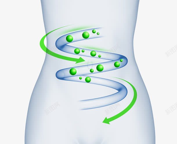 人物消化肠胃png免抠素材_新图网 https://ixintu.com 促进消化 女性身体 循环 肚子 肠胃消化 身体部位