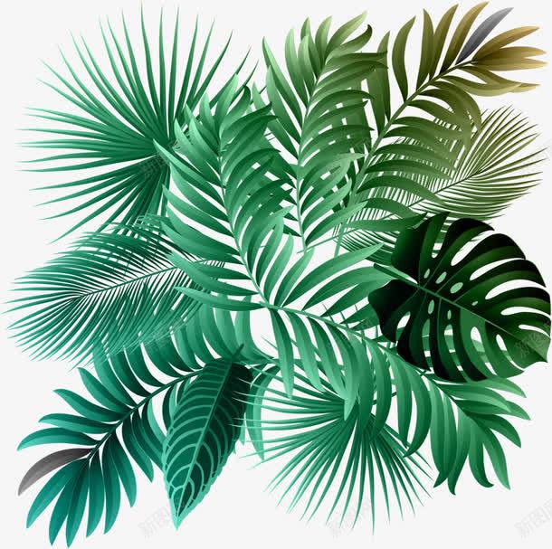 手绘卡通植物绿色叶子png免抠素材_新图网 https://ixintu.com 卡通 叶子 植物 绿色