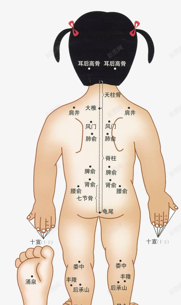 小儿穴位背面png免抠素材_新图网 https://ixintu.com 人体 人体穴位 小儿推拿 小孩推拿 少儿 推拿 明点 穴位