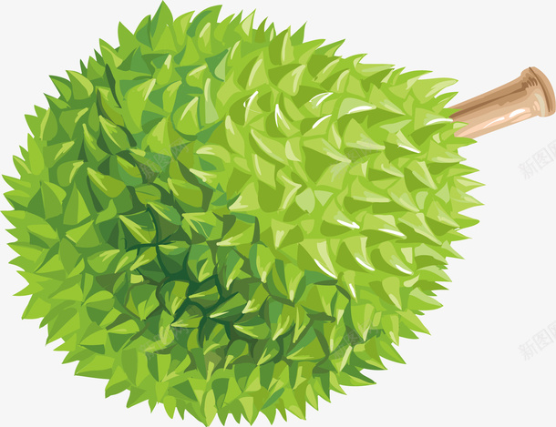 绿色的榴莲矢量图ai免抠素材_新图网 https://ixintu.com 卡通 小清新 榴莲 水果 绿色 营养 矢量图