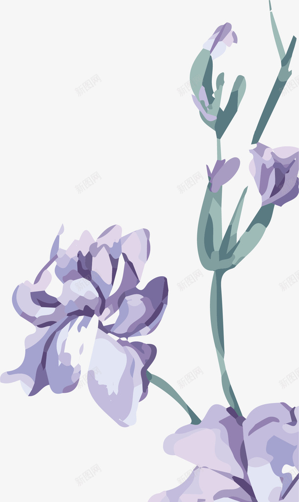 春天里盛开的鲜花png免抠素材_新图网 https://ixintu.com 春天插画 春天框 春天植物 春天相框 春天背景 春天花草 春天里盛开的鲜花 约会春天