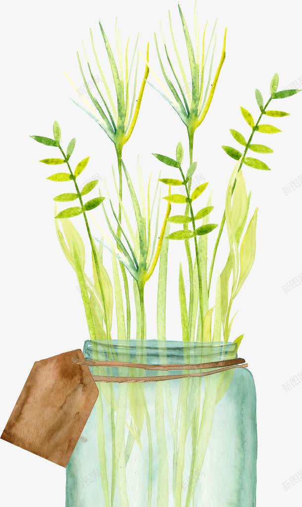 瓶子png免抠素材_新图网 https://ixintu.com PNG 小清新 手绘 手绘花草 文艺 树叶 树枝 树枝横 水彩 法式花瓶 瓶子 绿叶 花瓶 花草 藤蔓 装饰图案