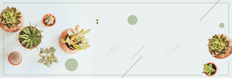 绿色文艺小清新多肉植物电商bannerpsd设计背景_新图网 https://ixintu.com banner 多肉 小清新 文艺 植物 海报 淘宝 电商 绿色