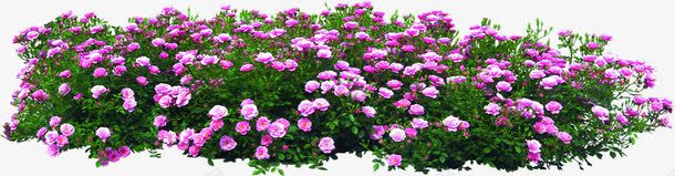 粉色环保春天花朵png免抠素材_新图网 https://ixintu.com 春天 环保 粉色 花朵