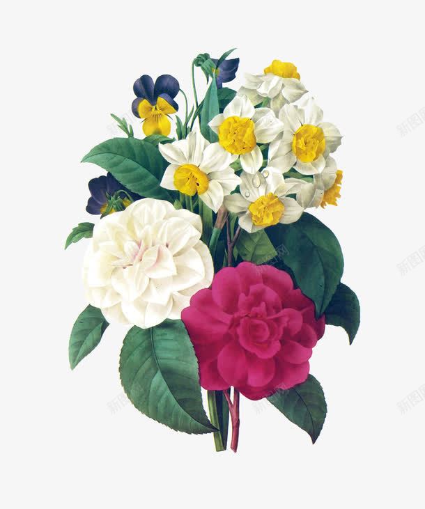 一束花png免抠素材_新图网 https://ixintu.com 红包花朵 绿叶 花卉