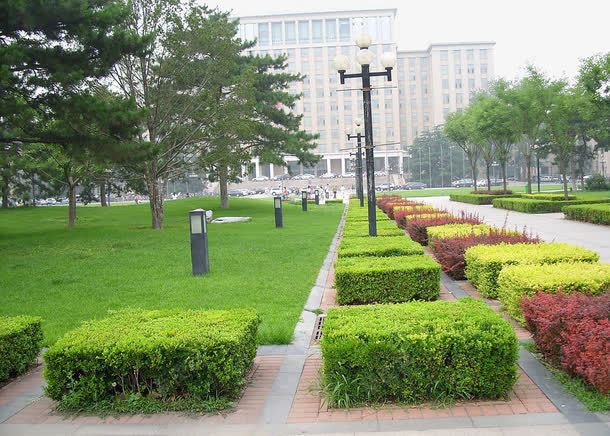 清华大学png免抠素材_新图网 https://ixintu.com 校园一景 校园绿化 清华 清华大学 绿色