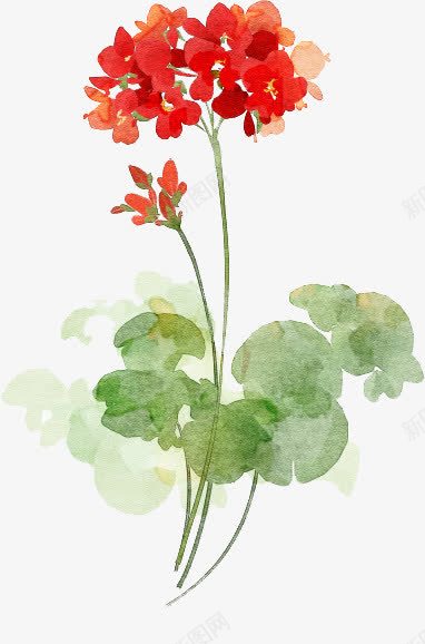 手绘花卉会展板png免抠素材_新图网 https://ixintu.com 展板 素材 花卉