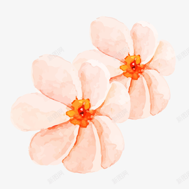 粉红色花朵手绘水彩花朵矢量图ai免抠素材_新图网 https://ixintu.com 卡通的 手绘卡通 春天花朵 水彩花朵 水粉 粉红色花朵 花朵 花瓣 鲜花 矢量图