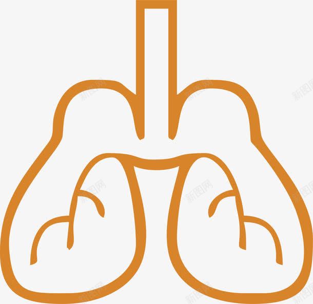 手绘的人体肺部器官png免抠素材_新图网 https://ixintu.com 器官 生物医药 生物医药产业 生物医药展板 生物医药广告 生物医药整容 肺部
