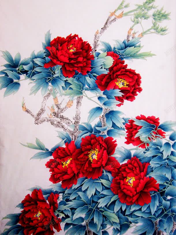 花朵插画jpg设计背景_新图网 https://ixintu.com 图片素材 大自然 底纹背景 插画背景 植物 背景花边 艺术插画 花 花主题封面素材 花主题背景素材 花朵 花朵图片 花朵插画 花朵插画图片 花朵插画图片素材下载 花朵背景 花瓣 花纹