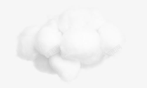 白色植物棉花效果png免抠素材_新图网 https://ixintu.com 效果 棉花 植物 白色