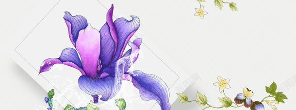 矢量花朵几何背景jpg设计背景_新图网 https://ixintu.com 几何 洗面奶 矢量 花朵