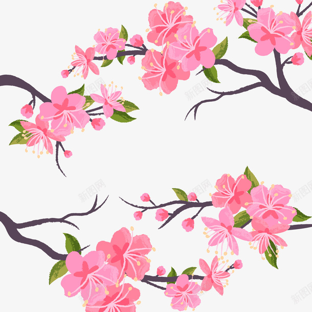 粉色杏花矢量图ai免抠素材_新图网 https://ixintu.com 春天 春天小清晰 春天植物 春天矢量 春天装饰 杏花 粉色 矢量图