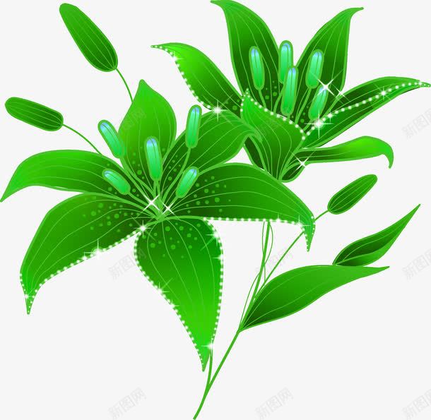 春天绿色母亲节装饰png免抠素材_新图网 https://ixintu.com 春天 母亲节 绿色 装饰