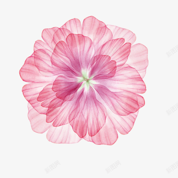 红色渐变花朵装饰元素png免抠素材_新图网 https://ixintu.com 创意 开花 渐变 红色 自然 花朵 装饰 设计