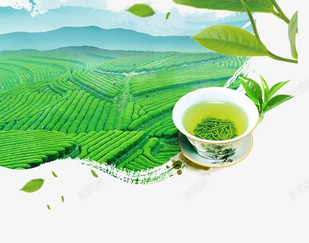 白色杯子里的春茶png免抠素材_新图网 https://ixintu.com 免抠茶 杯子里的春茶 白色 绿茶田 茶田装饰 飘散的茶叶