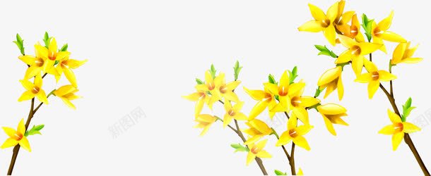 黄色卡通迎春花花朵png免抠素材_新图网 https://ixintu.com 卡通 花朵 迎春花 黄色