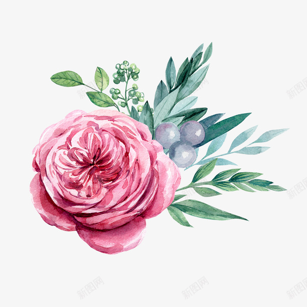春天粉色花卉手绘png免抠素材_新图网 https://ixintu.com 手绘 插画 植物 水彩 粉色 绿叶 花卉 花瓣 装饰