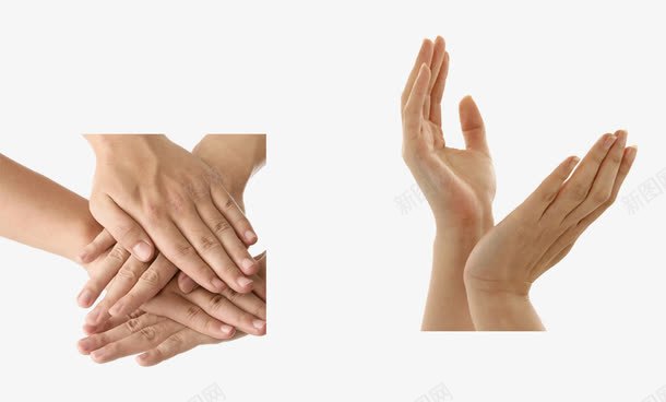 各种手势击掌握手png免抠素材_新图网 https://ixintu.com 击掌 各种手势 手 手势 手指 拍手 鼓掌