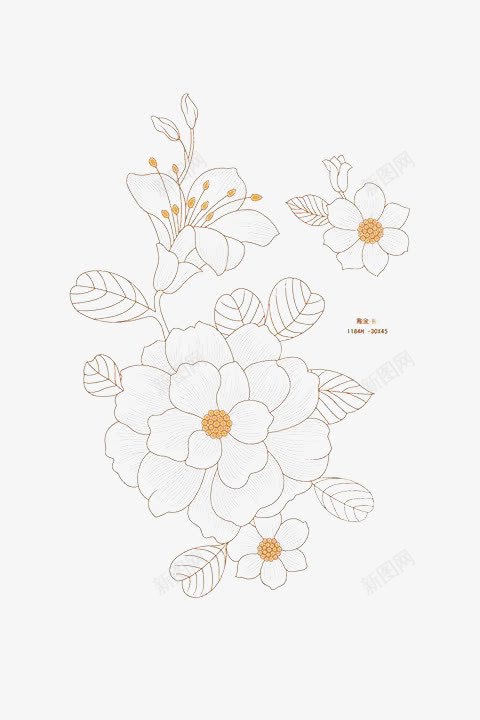 白色小花素雅图简约png免抠素材_新图网 https://ixintu.com 清香 简洁 简笔画 黄色花蕊