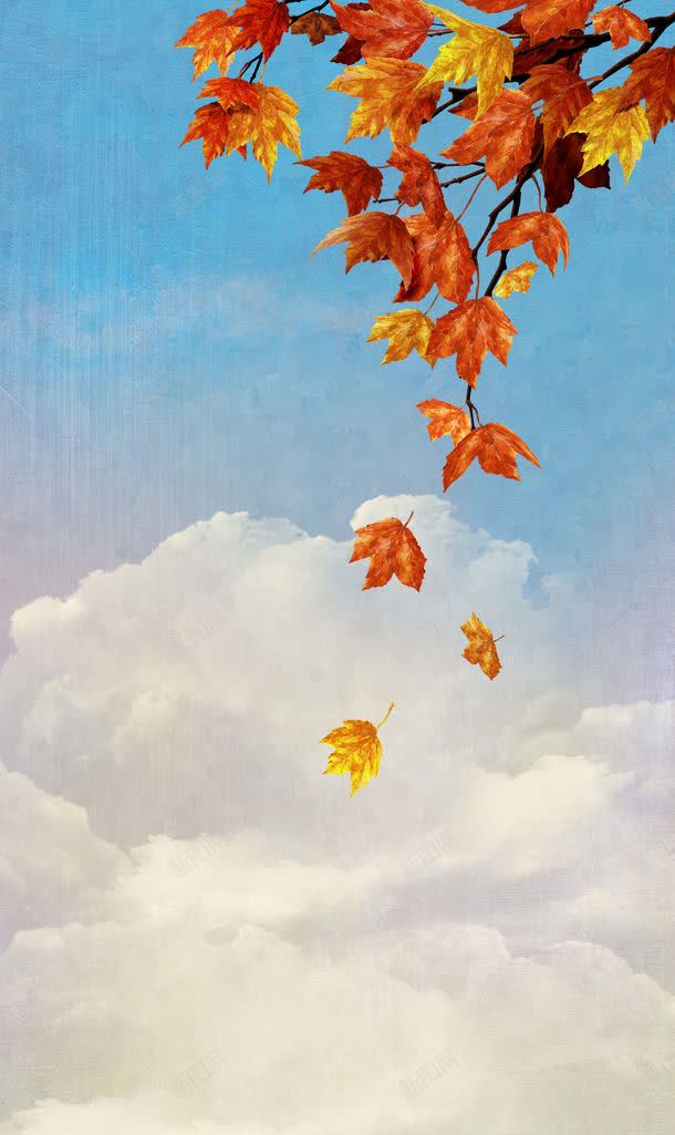 秋天树叶的景观jpg设计背景_新图网 https://ixintu.com 图片素材 底纹背景 摄影 枫叶 枫树 树木树叶 生物世界 秋叶 秋天景观 秋天树叶的景观图片 秋天树叶的景观图片素材下载 秋枫 红叶 红枫叶 背景花边