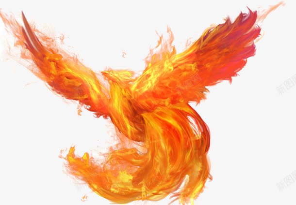 浴火凤凰png免抠素材_新图网 https://ixintu.com 凤凰 火焰 火焰喷射 神兽 红色