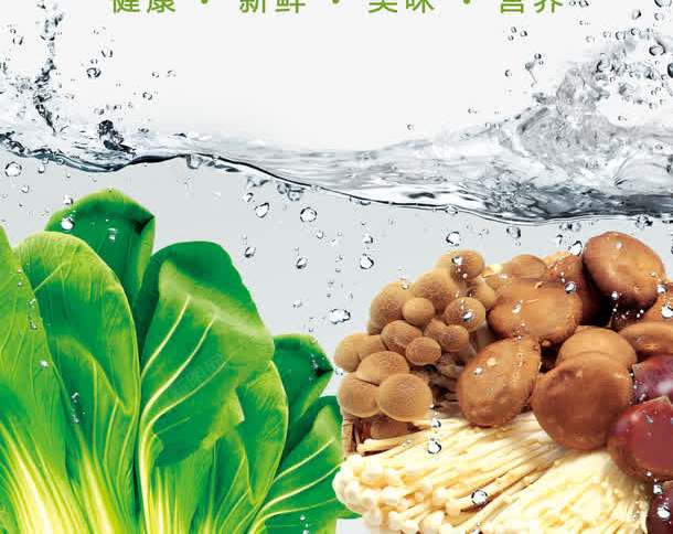 酒店菜品推荐png免抠素材_新图网 https://ixintu.com X展板 个性大气酒店菜品推荐展架图片PSD素材下载 健康 唇齿 展架 推荐 推销 新鲜 易拉宝 水花 烫的好 留香 真材实料 米粉 美味 美食 菜品 营养 蔬菜 蘑菇 酒店 金针菇 青菜 麻辣烫