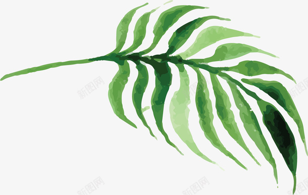 创意水彩树叶装饰图案png免抠素材_新图网 https://ixintu.com 夏季树叶 夏日 树叶插画 树叶装饰图案 植物 热带植物