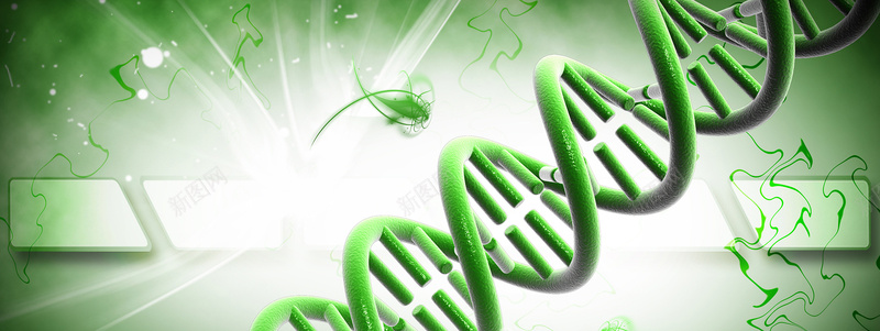 3D虚拟基因遗传背景bannerpsd设计背景_新图网 https://ixintu.com DNA 医学 医疗 商务 基因 海报banner 科学 科幻 科技 结构 绿色 螺旋体 遗传 酷炫