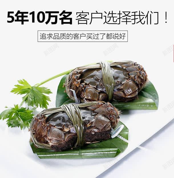 两只绑起来的螃蟹png免抠素材_新图网 https://ixintu.com 两只绑起来的螃蟹图 大闸蟹 美食
