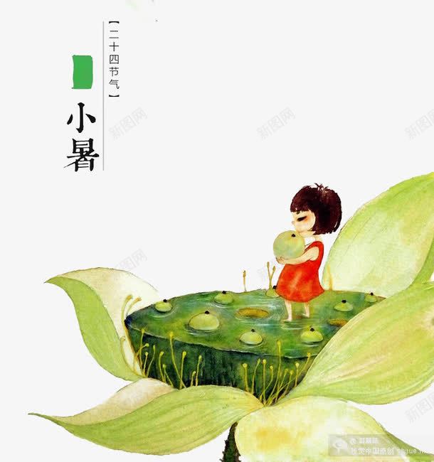 24节气png免抠素材_新图网 https://ixintu.com 小暑 手绘 水彩 荷花 莲子 解暑