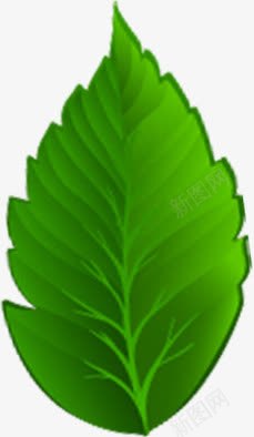 春天美景树叶植物png免抠素材_新图网 https://ixintu.com 春天 树叶 植物 美景