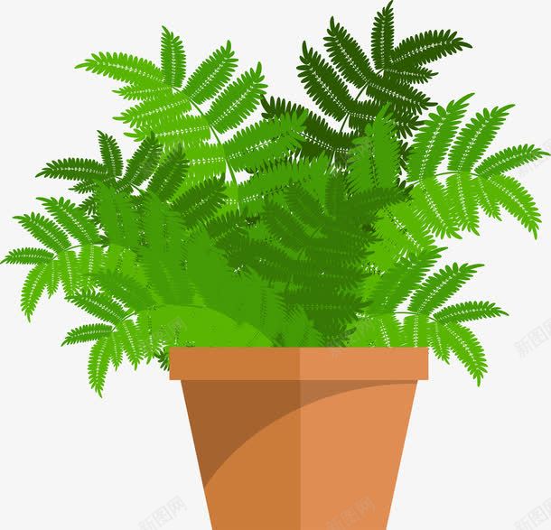 卡通绿色含羞草png免抠素材_新图网 https://ixintu.com 含羞草 小清新 树叶 盆景 盆栽 矢量图案 绿色植物