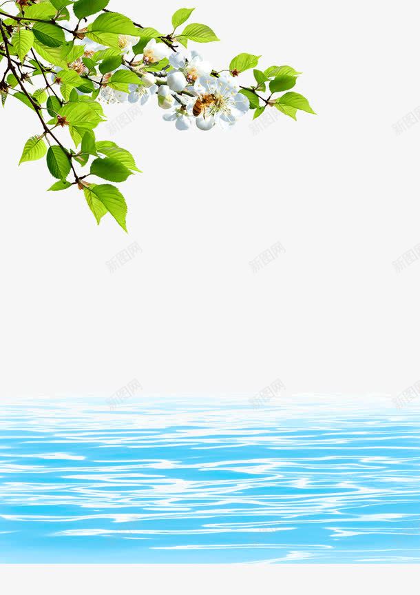 水滴背景png免抠素材_新图网 https://ixintu.com 展板 广告模板 广告设计模板 树枝 水滴 水纹 水花 海报模板 海报设计 源文件库 省水 纯净水广告模板 绿叶 节约用水 蓝天白云 阳光